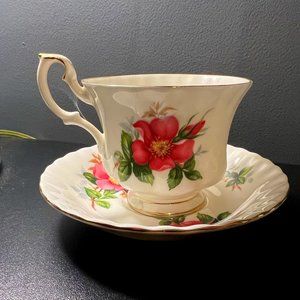 Royal Albert Prairie Rose Vintage Tea Cup and Saucer